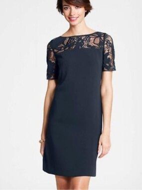 Ann Taylor Navy Lace-Trim Shift Dress